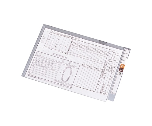 LIHITLAB カルテフォルダー(フラップ付)シングル<横型> 1箱(100枚入) HK2003 1箱(ご注文単位1箱)【直送品】