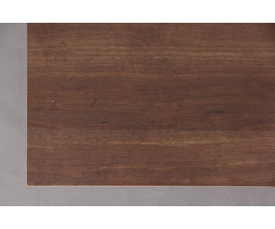 アズワン 290x290x879mm 収納ラック（コーナー用/ブラウン） EA954FB-161A 1個（ご注文単位1個）【直送品】