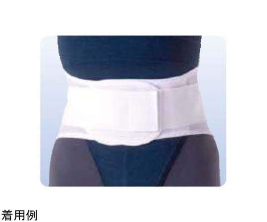 アシスト ウエストサポート（Nパッケージ） M 01667 1本（ご注文単位1本）【直送品】