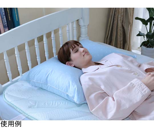 fossflakes フォスフレイクス ロイヤーレ ピロー 50×70cm FF-5070-RL 1個（ご注文単位1個）【直送品】