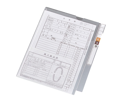 LIHITLAB カルテフォルダー（フラップ付）シングル<縦型> 1箱（100枚入） HK2001 1箱（ご注文単位1箱）【直送品】