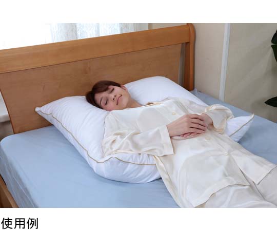 fossflakes フォスフレイクス クラシック ハーフボディピロー 80×80cm FF-8080-GP 1個（ご注文単位1個）【直送品】