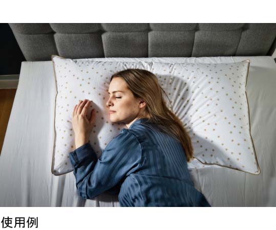 fossflakes フォスフレイクス ラグジュアリーアイピロー ザ ゴールド 60×100cm FF-60100-GO 1個（ご注文単位1個）【直送品】