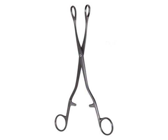 日本フリッツメディコ ポリープ把持鉗子 G490-250 1本（ご注文単位1本）【直送品】