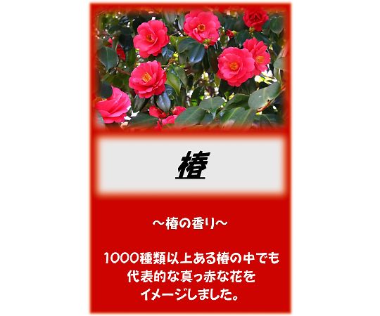 アサヒ商会 アサヒ入浴剤 椿 2.5kg  1袋（ご注文単位1袋）【直送品】