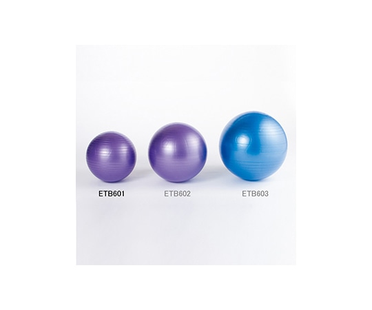 エバニュー ノンバーストバランスボール 55 ETB601 1個(ご注文単位1個)【直送品】