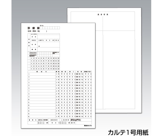 日本ホップス カルテ用紙 2号紙 500枚入 KP-201 1枚（ご注文単位1枚）【直送品】