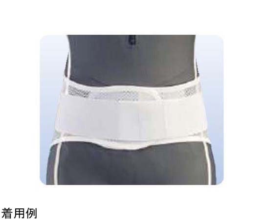 アシスト プロフィット・メッシュ プラスチックステイ S 09900 1本(ご注文単位1本)【直送品】