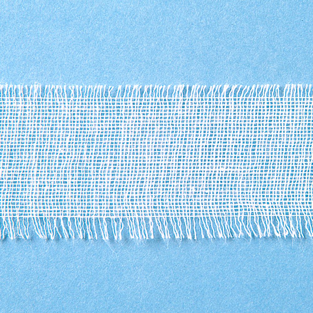 竹虎 テトラーゼ 2.5号 10本入 013012 1箱（ご注文単位1箱）【直送品】