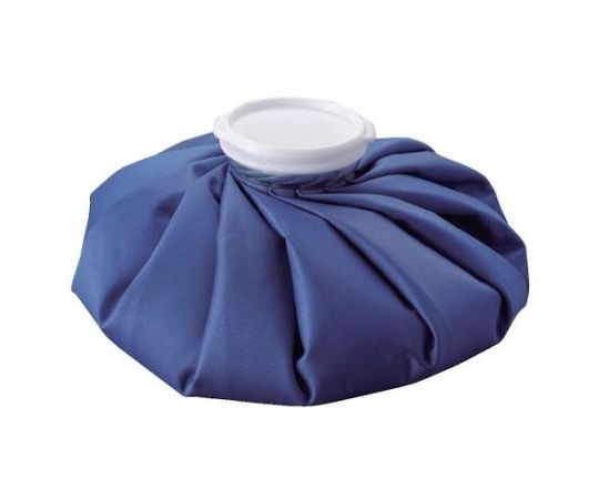 アズワン 1900mL アイスバッグ EA917HE-23 1個（ご注文単位1個）【直送品】