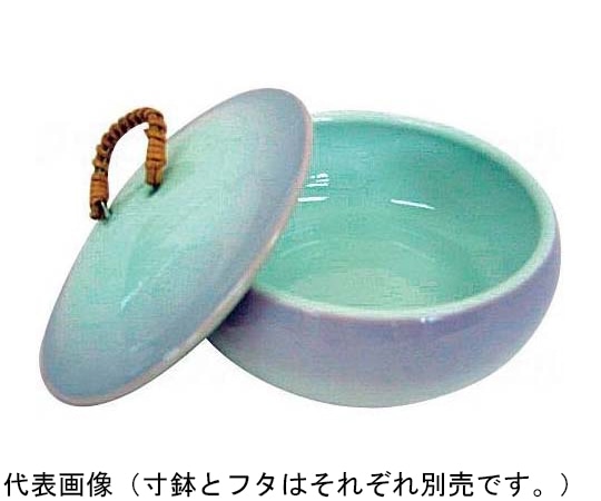 アメックス熊本 夢食器虹彩レインボウ フタ No.4-1 1個（ご注文単位1個）【直送品】