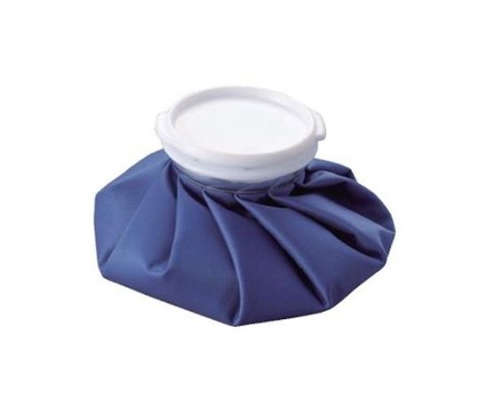 アズワン 400mL アイスバッグ EA917HE-21 1個（ご注文単位1個）【直送品】