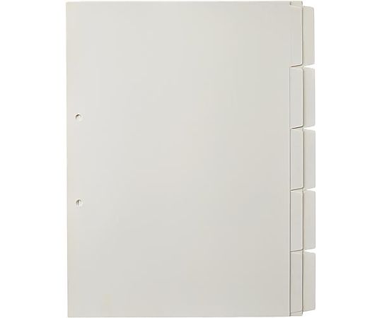 プラス たすけあ 印字なしインデックス 5山2組入り FL-807IS 1パック（ご注文単位1パック）【直送品】