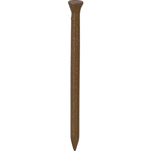 トラスコ中山 ダイドーハント HP ケーシング釘 ブラウン 1.5×25 100本入(ご注文単位1パック)【直送品】