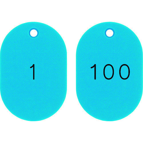 トラスコ中山 緑十字 小判型番号札 1～100/連番号入 スカイブルー 小判札453-SB(1～100) 45×30 100枚組（ご注文単位1組）【直送品】