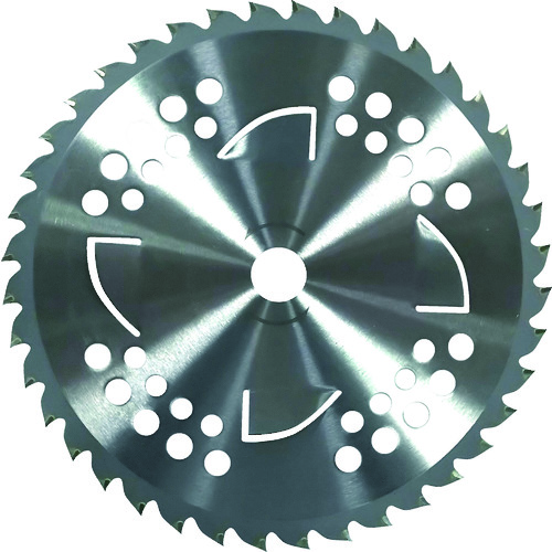 トラスコ中山 GS まかないチップソーII Wトルネード 255×40P(ご注文単位1枚)【直送品】