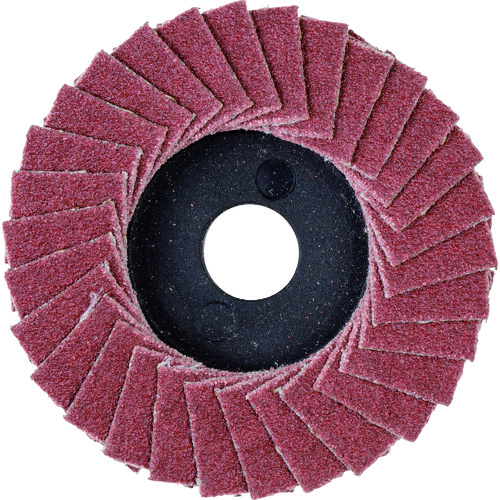 トラスコ中山 プロクソン ディスクペーパー(固定式)100番(ご注文単位1個)【直送品】