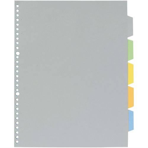 トラスコ中山 キングジム カラ-インデックスA4S(30穴)(ご注文単位1冊)【直送品】