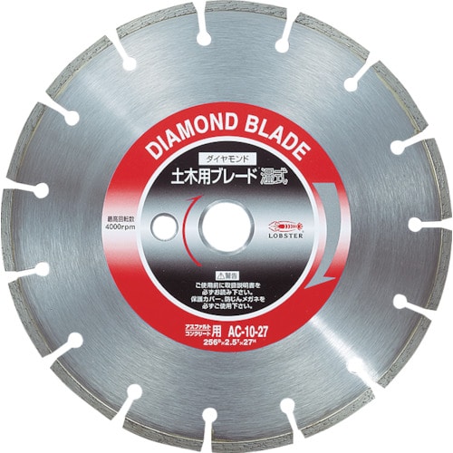 トラスコ中山 エビ ダイヤモンド土木用ブレード 10インチ 22パイ(湿式)(ご注文単位1枚)【直送品】