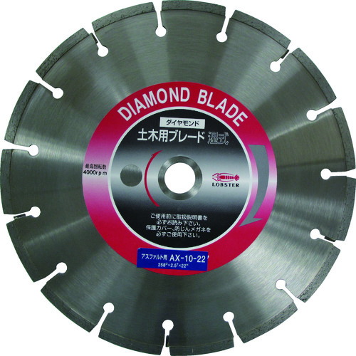 トラスコ中山 エビ ダイヤモンドカッターアスファルト用 10インチ 22パイ(ご注文単位1枚)【直送品】