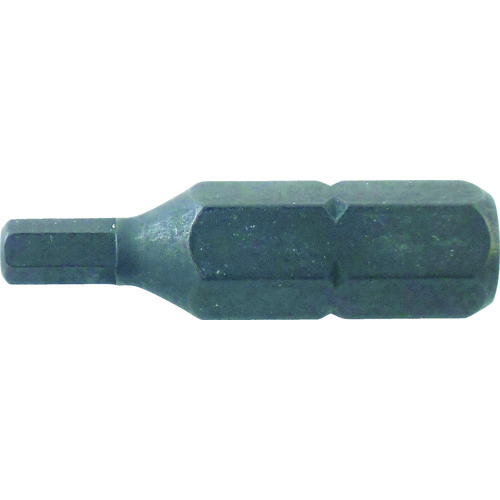 トラスコ中山 TRUSCO いたずら防止ねじ用ビット ピン付六角穴 適応M3(ご注文単位1個)【直送品】