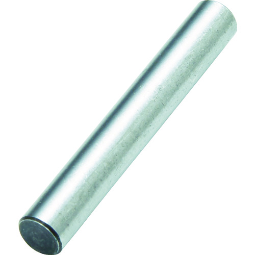 トラスコ中山 TRUSCO 強力ドレッサーホルダ DH-265用ピン 10本入（ご注文単位1袋）【直送品】