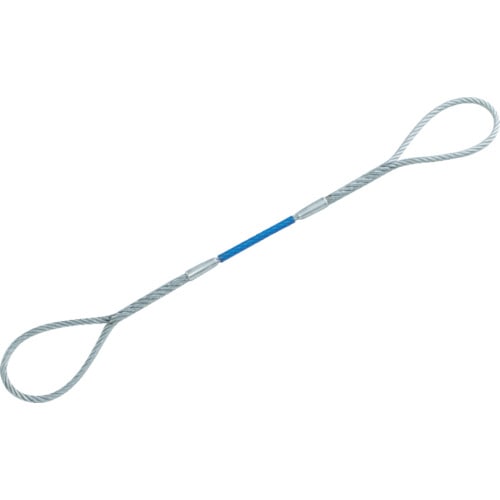 トラスコ中山 TRUSCO Wスリング Aタイプ カラー被覆付 12mmX2.0m(ご注文単位1本)【直送品】