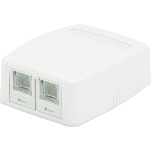 トラスコ中山 パンドウイット CAT5Eスプリングシャッター付きローゼットキット 2個口 白 JOQ2H500(ご注文単位1個)【直送品】