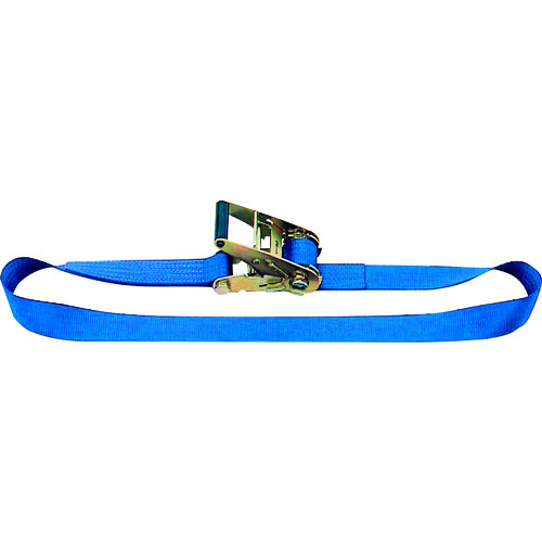 トラスコ中山 OH ベルトラッシング LBR300シリーズ ラチェットバックル エンドレス 幅35mm×厚2.0mm(ご注文単位1台)【直送品】