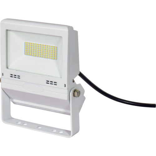 トラスコ中山 日動 LED投光器 常設用フラットライト30W 白(ご注文単位1台)【直送品】