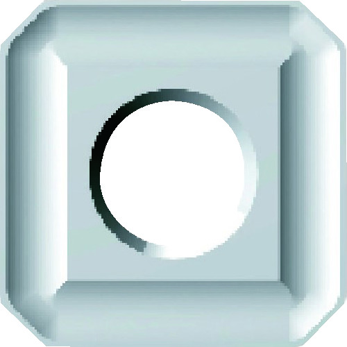 トラスコ中山 富士元 フェイス加工用Nタイプ並級チップ 超硬K種 NK1010(ご注文単位12個)【直送品】