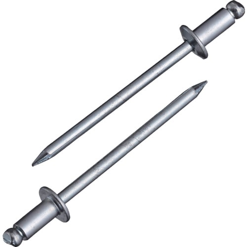 トラスコ中山 エビ ブラインドリベット(スティール/スティール製) 4-6(300本入) エコBOX(ご注文単位1箱)【直送品】