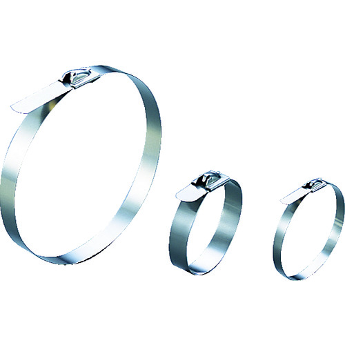 トラスコ中山 TRUSCO ステンレスバンド 取り外し可能タイプ W5.0X250L (20本入)（ご注文単位1袋）【直送品】