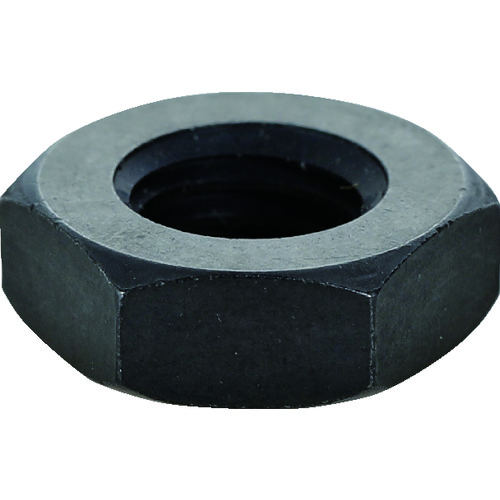 トラスコ中山 TRUSCO 平ナット ネジ 16ミリ(ご注文単位1個)【直送品】
