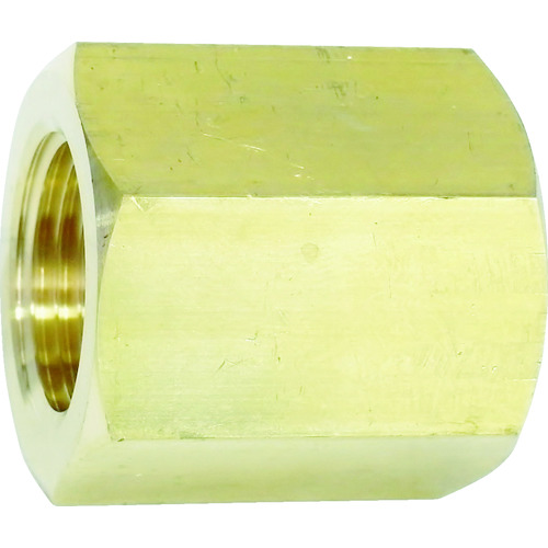 トラスコ中山 ヤマト メスXメス継手 W22-14(右)×Rc1/4(ご注文単位1個)【直送品】