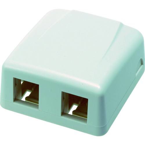 トラスコ中山 コーニング 2ポート露出型アウトレット(ご注文単位 1個)【直送品】