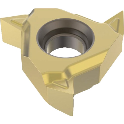 トラスコ中山 セコ 旋削 ねじ切り用インサート CP500 429-6971  (ご注文単位2個) 【直送品】