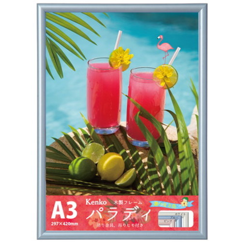 トラスコ中山 ケンコー 1250264 ダイレクトフレーム パラディ A3 ブル- EPR-A3 BU 414-1053 (ご注文単位1枚) 【直送品】
