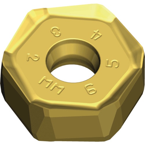 トラスコ中山 テグテック ミーリング加工用チップ チェイス12ミル 441-5798  (ご注文単位10個) 【直送品】