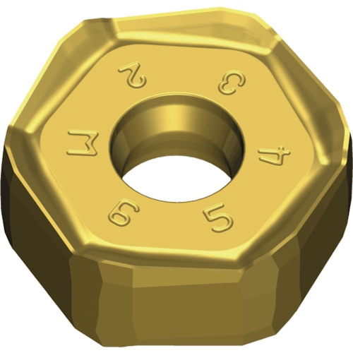 トラスコ中山 テグテック ミーリング加工用チップ チェイス12ミル 441-5796  (ご注文単位10個) 【直送品】