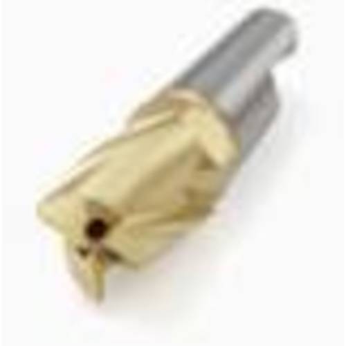 トラスコ中山 セコ フライス ミニマスターヘッド MM10 F30M 435-9044  (ご注文単位2個) 【直送品】