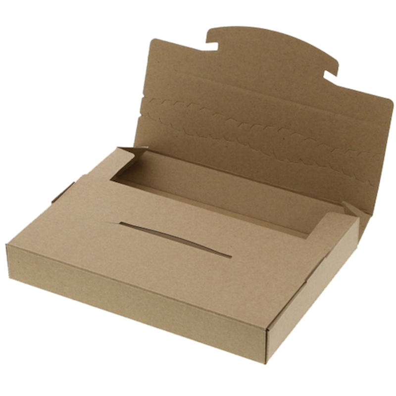 HEIKO ラクポスBOX クラフト 195-30 10枚入り 1袋（ご注文単位1袋）【直送品】