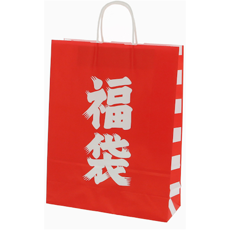 HEIKO 手提げ紙袋 25チャームバッグ 福袋 2才 50枚入り 1袋（ご注文単位1袋）【直送品】