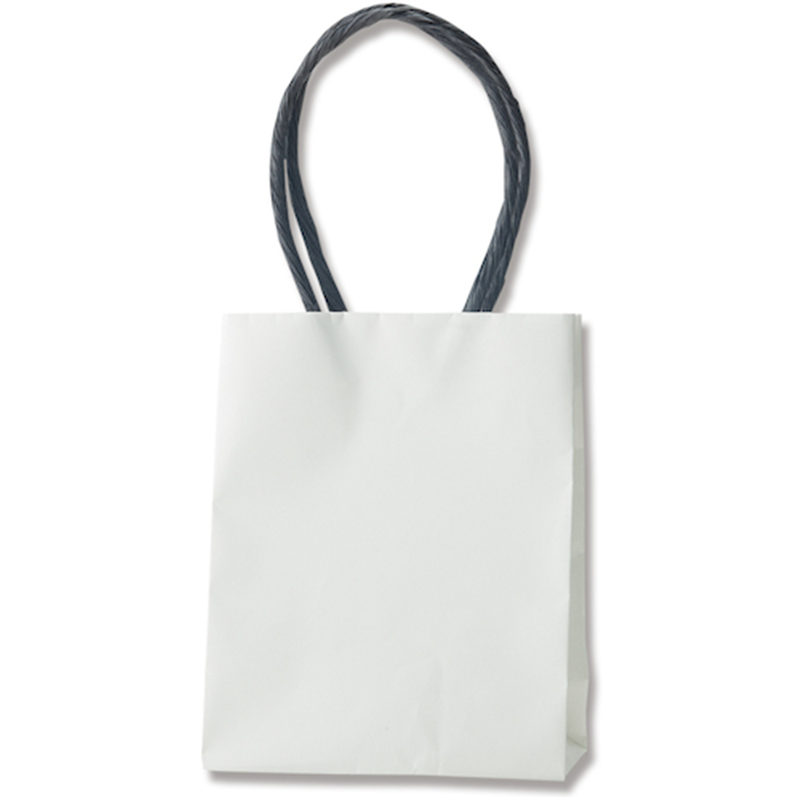 HEIKO 手提げ紙袋 プチバッグ 白無地 12-6.5 10枚入り 1袋（ご注文単位1袋）【直送品】