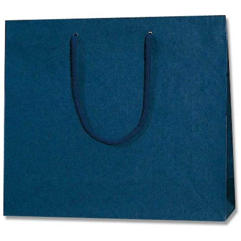 HEIKO 手提げ紙袋 カラーチャームバッグ 紺 3才 10枚入り 1袋（ご注文単位1袋）【直送品】