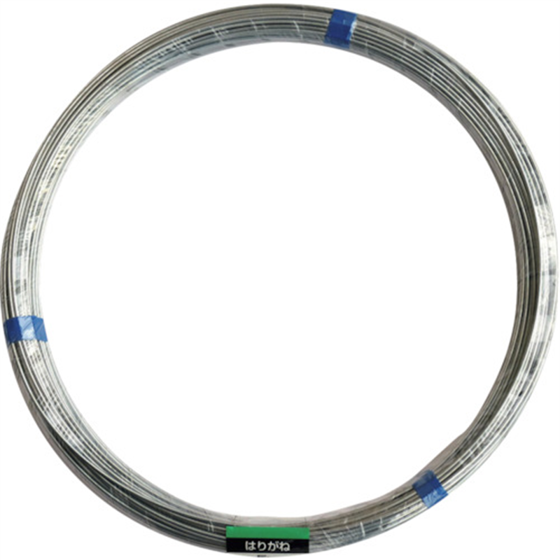 DAIDOHANT 針金 5Kg巻 #10 1巻（ご注文単位1巻）【直送品】