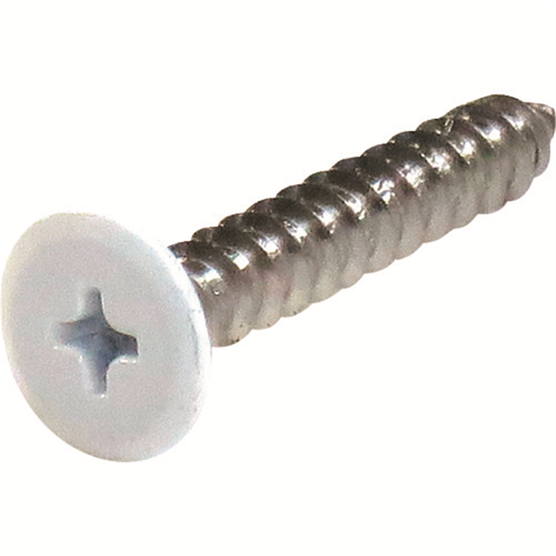 DAIDOHANT ネジカラー ステンレス低頭タッピング 4x20白(8本) 1パック（ご注文単位1パック）【直送品】