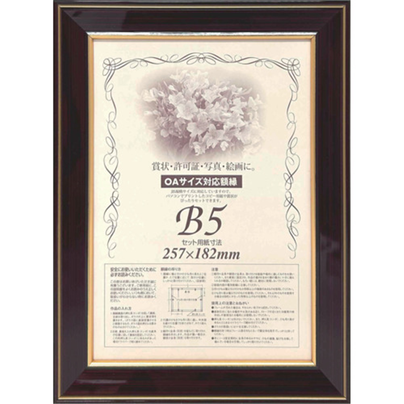 大額 額縁 賞状額 ネオ光輝 OA-B5 0142 1枚（ご注文単位1枚）【直送品】