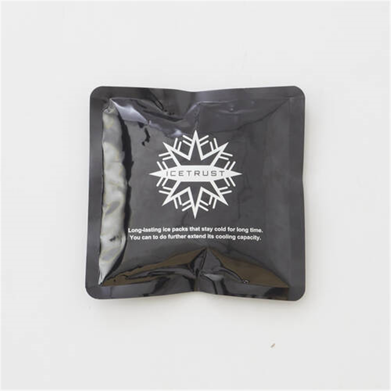 ELPA 保冷剤 アイストラスト 1個（ご注文単位1個）【直送品】