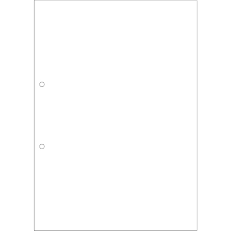 HISAGO FSC(R)認証マルチプリンタ帳票複写タイプA4ノーカーボン白紙2穴大入 1箱（ご注文単位1箱）【直送品】